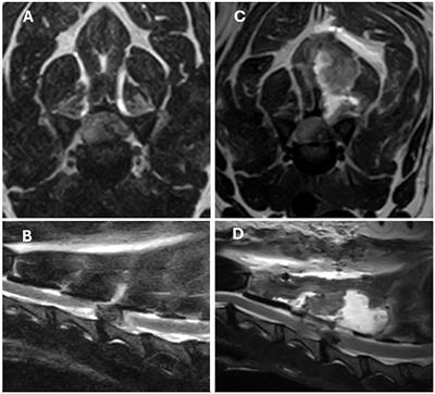 Dorsal laminectomy for the treatment of lateralised cervical intervertebral disc extrusions in dogs—Prognosis and complications